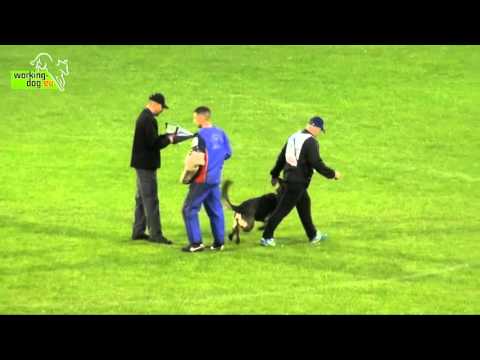 Astalavista Zlobnoe Naslediye Chabanov - WUSV-WM 2014 - C 92 points