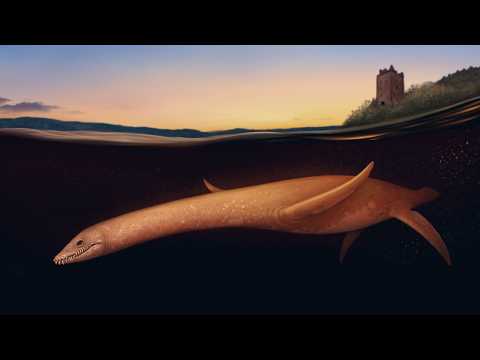The Speculative Evolution of the Loch Ness Monster