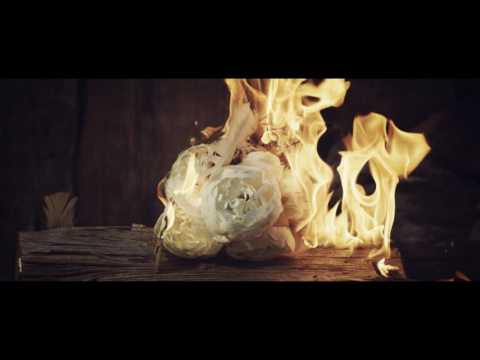 Thumbnail for Synthetic Sun video