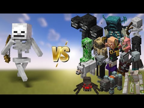 Skeleton goes crazy vs all mobs in epic battle! #minecraft