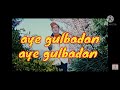aye gulbadan aye gulbadan professor Mo aye gulbadan aye gulbadan professor Mo