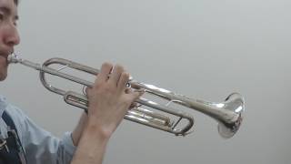 Video thumbnail for 【トランペットマウスピース吹き比べ】Bach 5C by 島村楽器 くずはモール店