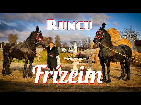 RUNCU - Frízeim (hivatalos videoklip)