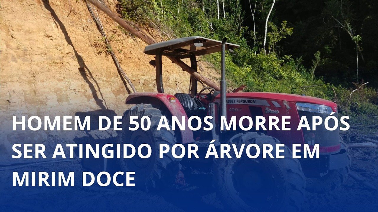 Homem de 50 anos morre após ser atingido por árvore
