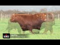 RUFO ️ SEMEX