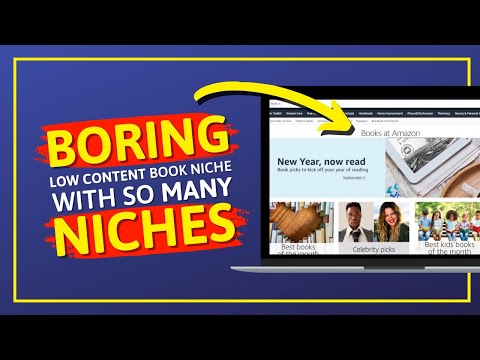 This HUGE BORING KDP Niche Has So Many NICHES And So Much Potential