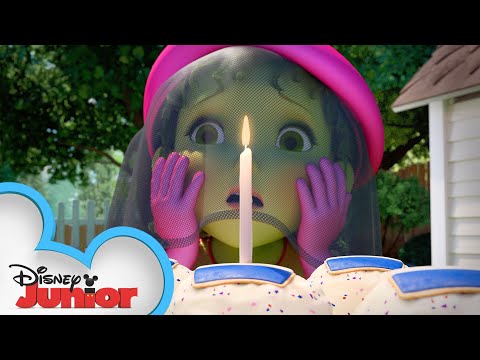 Happy Birthday in French!🎂 | Music Video | Fancy Nancy | Disney Junior