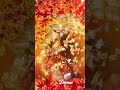 Tere Dar Pe O Meri Maiya Navratri Special Status