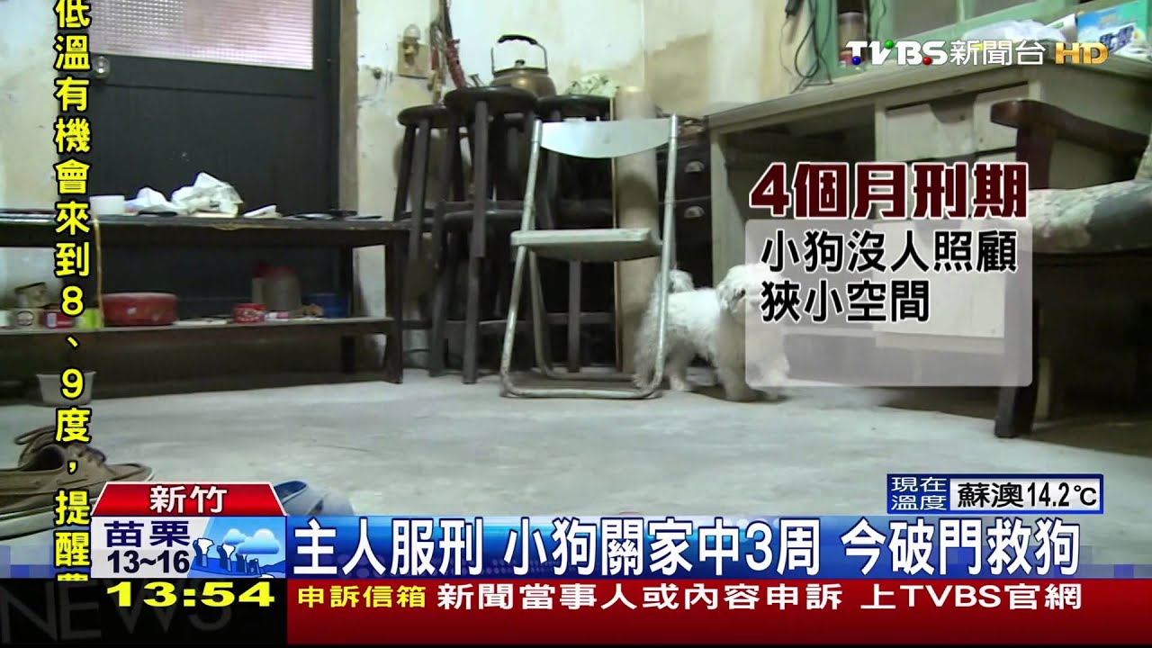 主人服刑!小狗關家中3週 今破門救狗