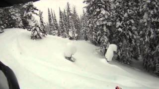 Cooke Jan 4th 2015
