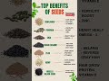 🌿 “7 Power Seeds That Can Transform Your Health! 💪✨” #shorts #healthyfood #seeds #superfoods #food