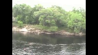 preview picture of video 'Suwannee River State Park'