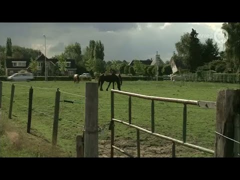 GLD Nieuws 11 augustus 2015