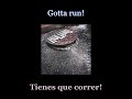 Holland - Gotta Run - Lyrics / Subtitulos en español (Nwobhm) Traducida