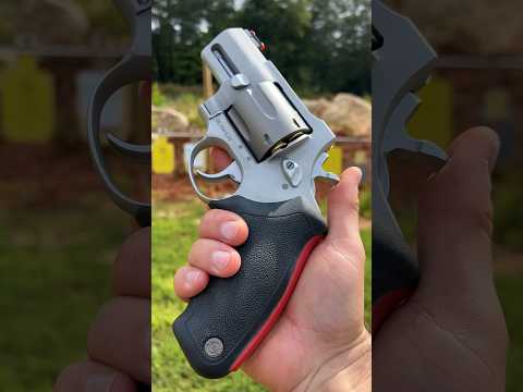 .44 Mag Snub Nose FPV