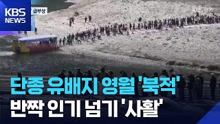 영화 '왕과 사는 남자' 흥행 돌풍… 영월 단종 유적지 방문객 7배 급증
