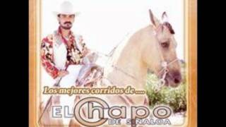 el chapo de sinaloa entre suspiro y suspiro.wmv