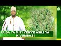 LIVE FAIDA YA MITI YENYE ASILI YA KIVUMBASI
