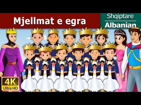 Mjellmat e egra | The Wild Swans in Albanian | @AlbanianFairyTales