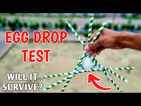 Extreme Egg Drop Test Using Straws From 50 Ft. | क्या अंडा🥚 बच पाएगा? | Egg Science Experiment.