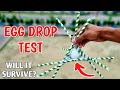 Extreme Egg Drop Test Using Straws From 50 Ft. | क्या अंडा🥚 बच पाएगा? | Egg Science Exp