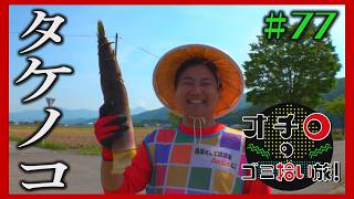 タケノコゲット!「オチロのゴミ拾い旅!」#77