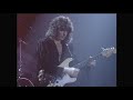 rainbow temple of the king (EL TEMPLO DEL REY)    LIVE