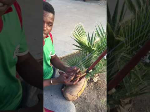 Professional Baby N'Goni 8 String with Metal Tuning Keys #3