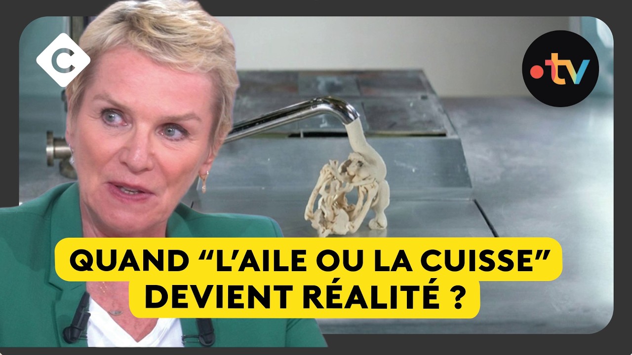 Cash investigation dans les arrière-cuisines des industriels