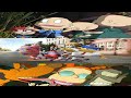Rugrats Go Wild The SpongeBob Movie Sponge Out Of Water Trailer 2003 2015