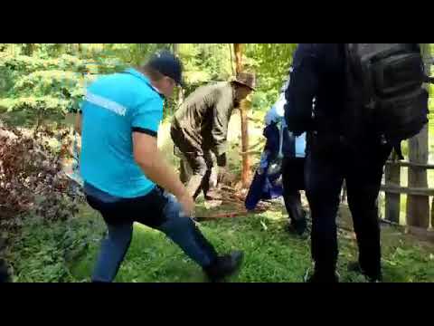 urs eliberat Vrancea - comuna Nistoresti