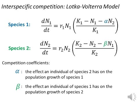 Interspecific competition - Definition and Examples - Biology Online Dictionary