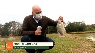 Miniatura do vídeo