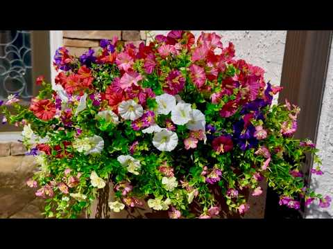 Amazon Artificial Flowers