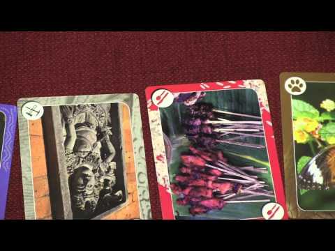 Dice Tower Reviews: Kenakalan