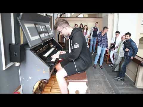 Coco jumbo on 300 years old organ