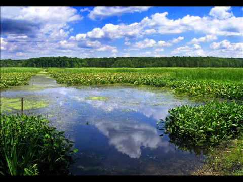 The Traveller and In Motion - Believe [Push Remix]