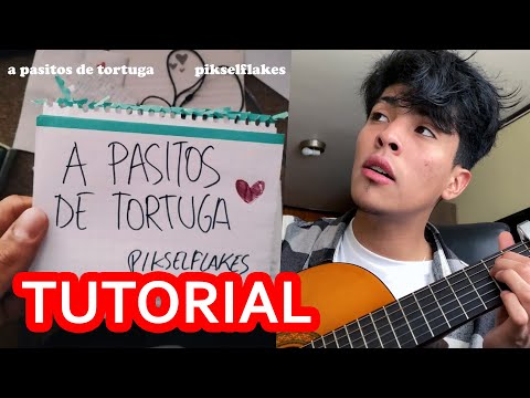 A Pasitos De Tortuga - Pikselflakes