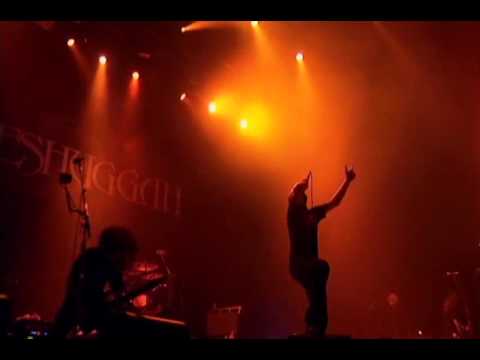 Videoclip de Rational Gaze (Live) — Meshuggah