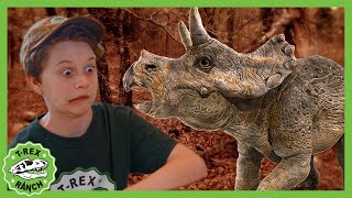 Hunt for the Baby Dinosaurs! | T-Rex Ranch Dinosaur Videos for Kids