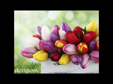 Georgette's Flowers Peoria IL 61614-8120