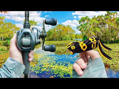 Exploring A HIDDEN Bass Paradise FULL Of Fish (New PB)