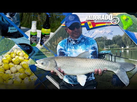 Haldorado Method Feeder Team RO - Top Method Feeder news 2024