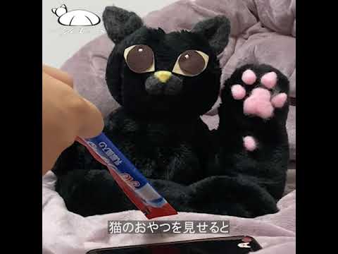 美術学科 ユルセニャ