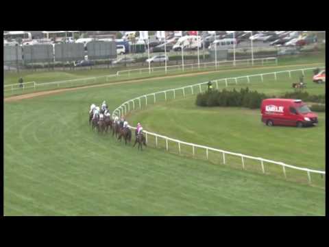 KV, 29. 4. 2017, 6. dostih - Dostih Frey Consulting - Frey Consulting Rennen