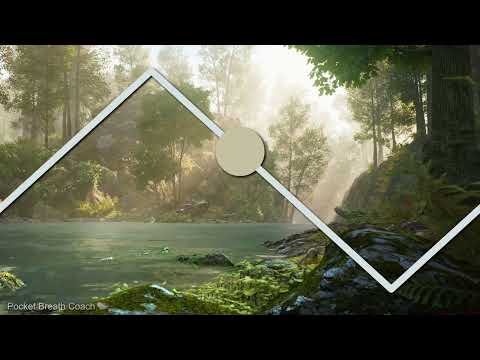 6 Second Breathing Timer