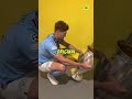 Why UCL Winners Didn T Get Original Trophy Football