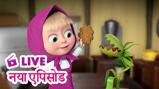 Download lagu 🔴 LIVE STREAM! माशा एंड द बेयर 🆕 नया एपिसोड 🥀 पौधे का खाना है मस्ताना 😋 Masha and the Bear in Hindi mp3