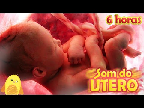 6 HORAS DE SOM DO UTERO ORIGINAL PARA BEBE DORMIR, TELA ESCURA - Mimi o passarinho para dormir