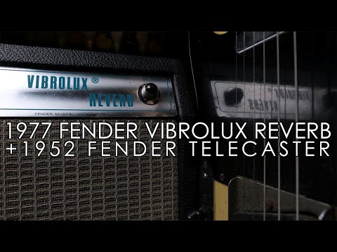 "Pick of the Day" - 1977 Fender Vibrolux Reverb and 1952 Telecaster